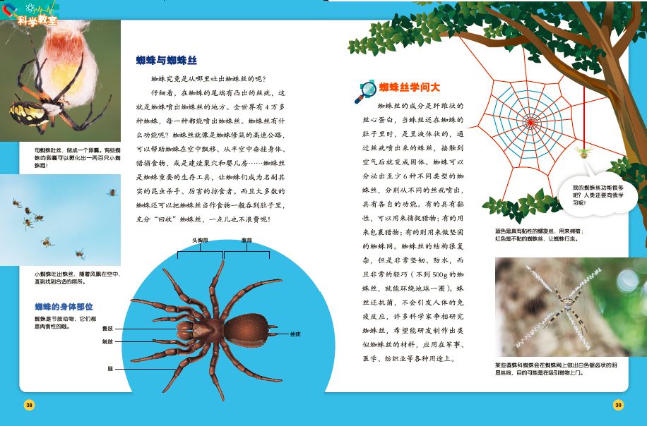 什么白雪成语_什么白雪公主(3)