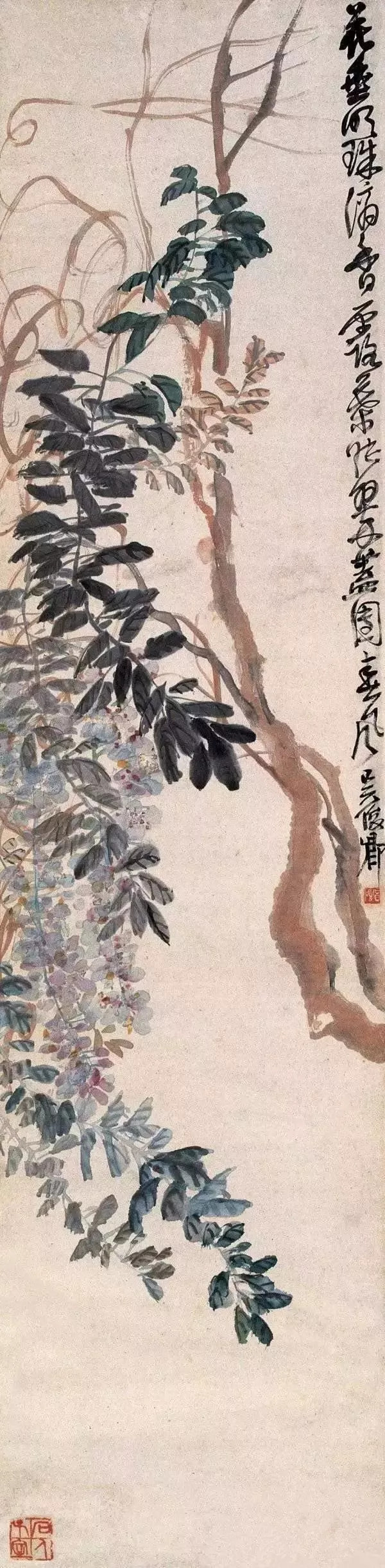 这种美学性格在吴昌硕的紫藤作品中抒写得相当生动尽致.