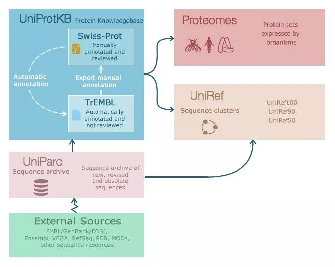 https://www.uniprot.org