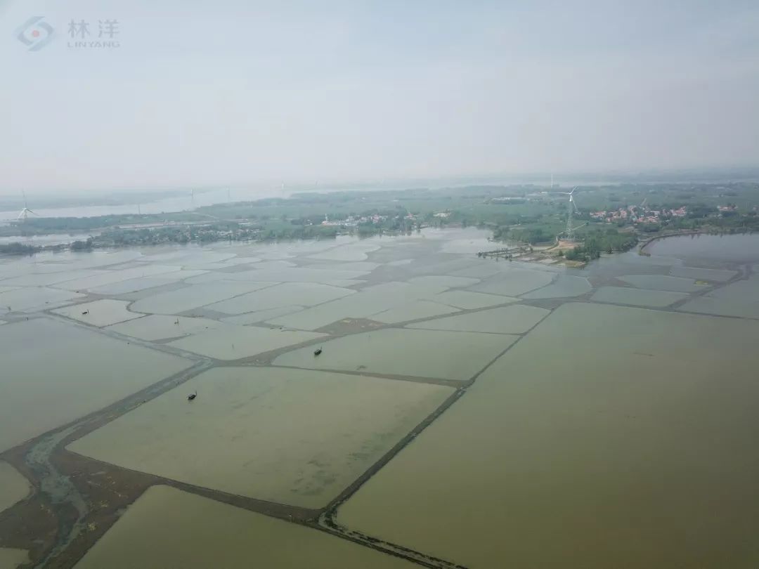 因地制宜,开展"光伏扶贫" 泗洪领跑者基地位于泗洪县西南岗片区,那里