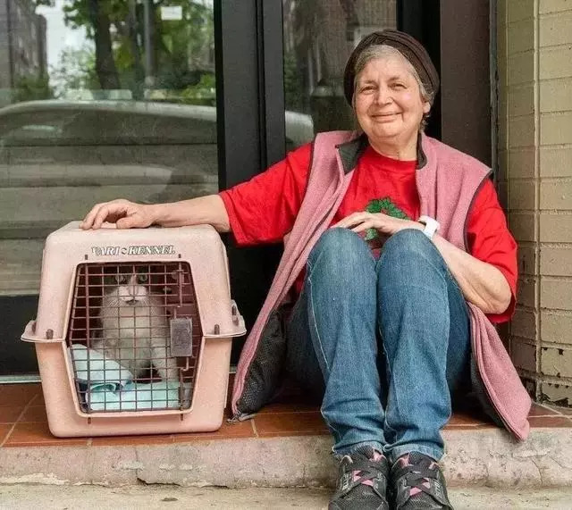 猫奴女儿去世十周年的忌日,老夫妇接到一通让人热泪盈眶的电话