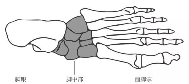 什么步奔跑成语_成语故事图片(2)