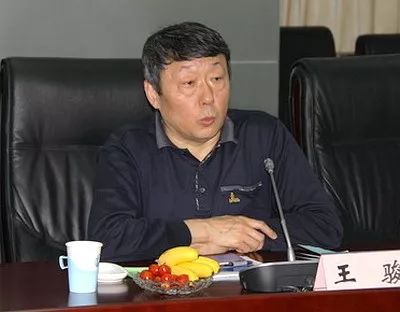 新能源和可再生能源司原司长王骏