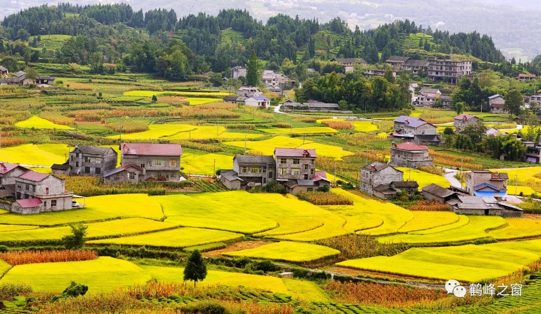 在大崖关,木耳山,白果村山头,从不同角度俯视走马坪,可见山水田园