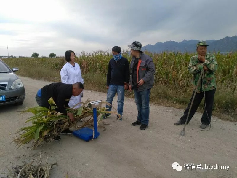 包头人口流失_包头人口变化趋势图(3)