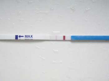 【验孕试纸】验孕试纸什么时候用_验孕试纸的使用方法