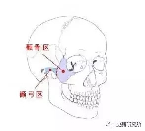 鞠靖祎把自己整成了猴子脸,一动就崩,她最该整的是这块骨头啊!