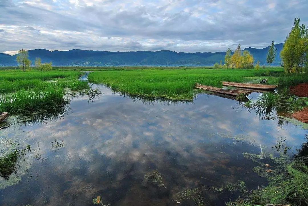 (图/威宁草海-徜徉草海)