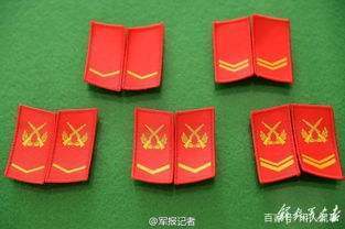 最新最全的中国军队现行军衔解放军预备役武警和民兵