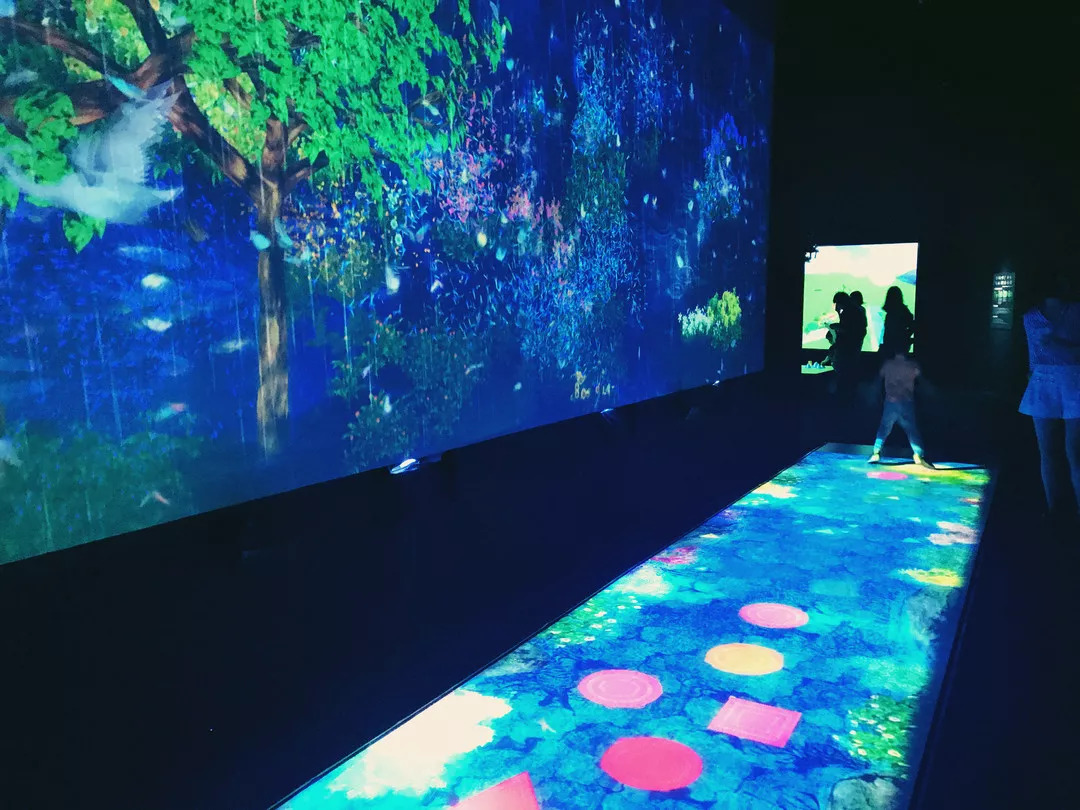 大武汉艺术展溜娃体验报告 之 Teamlab 未来游乐园