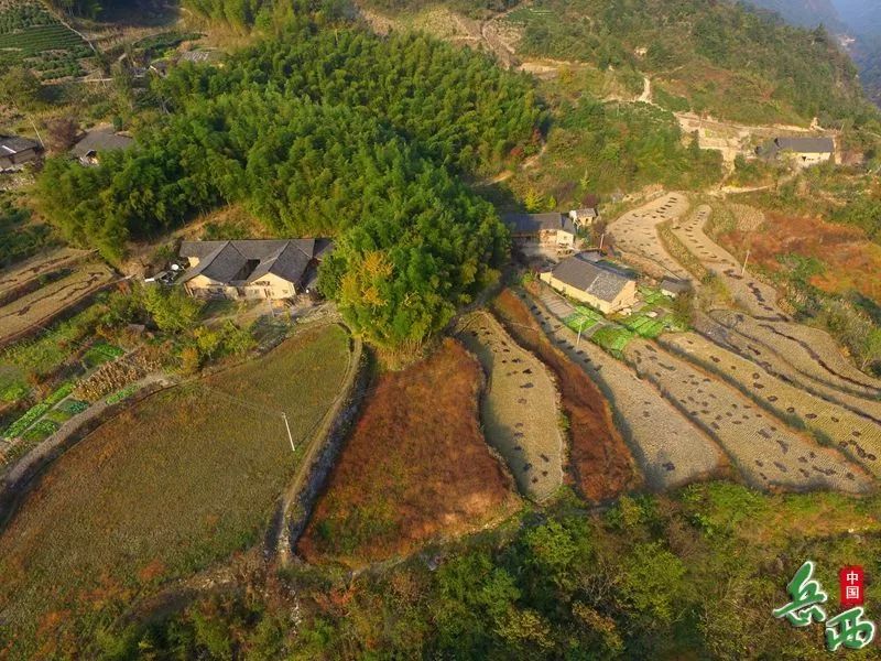 道元古村景区位于大别山腹地的岳西县黄尾镇云峰村的高山之上(海拔800