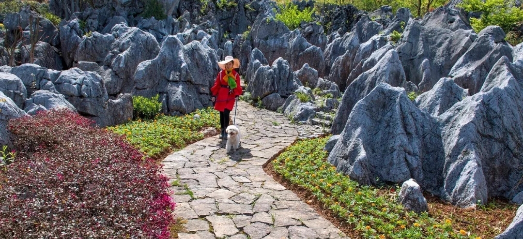 【好白相】十一旅游去哪好?上海周边冷门旅行地推荐!