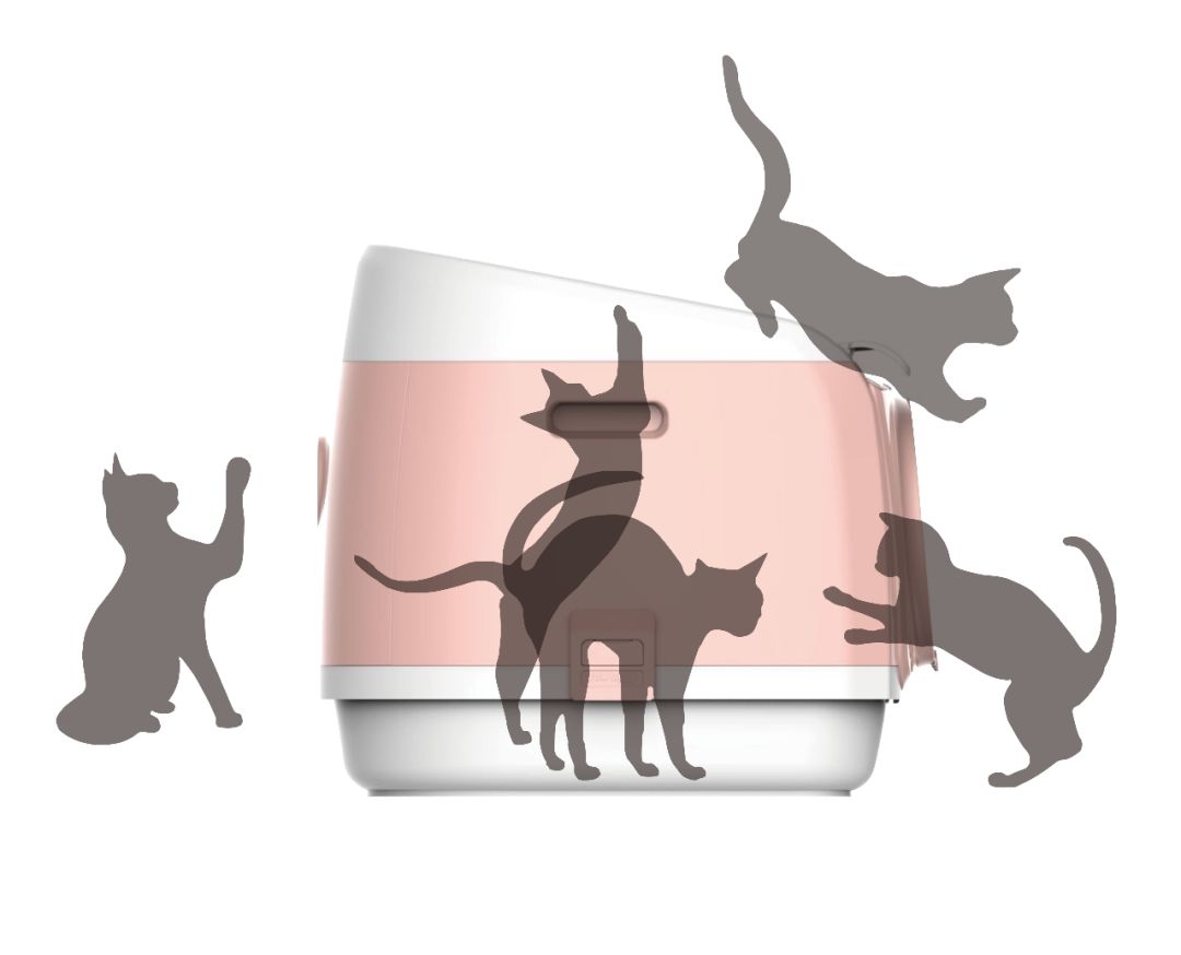 成立1年，年销数千万，看PAKEWAY如何打造综合宠物用品品牌？