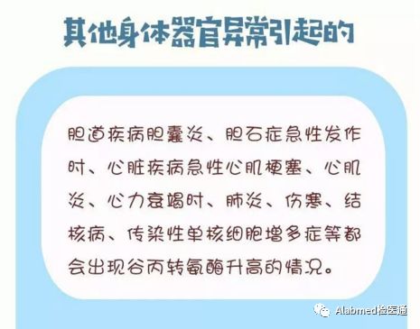 谷丙转氨酶偏高是怎么回事?该怎么办呢?_治疗