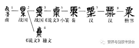 从甲骨文字形我们即可看出,包裹着外壳的"禾"(小米)的种子就是"粟".