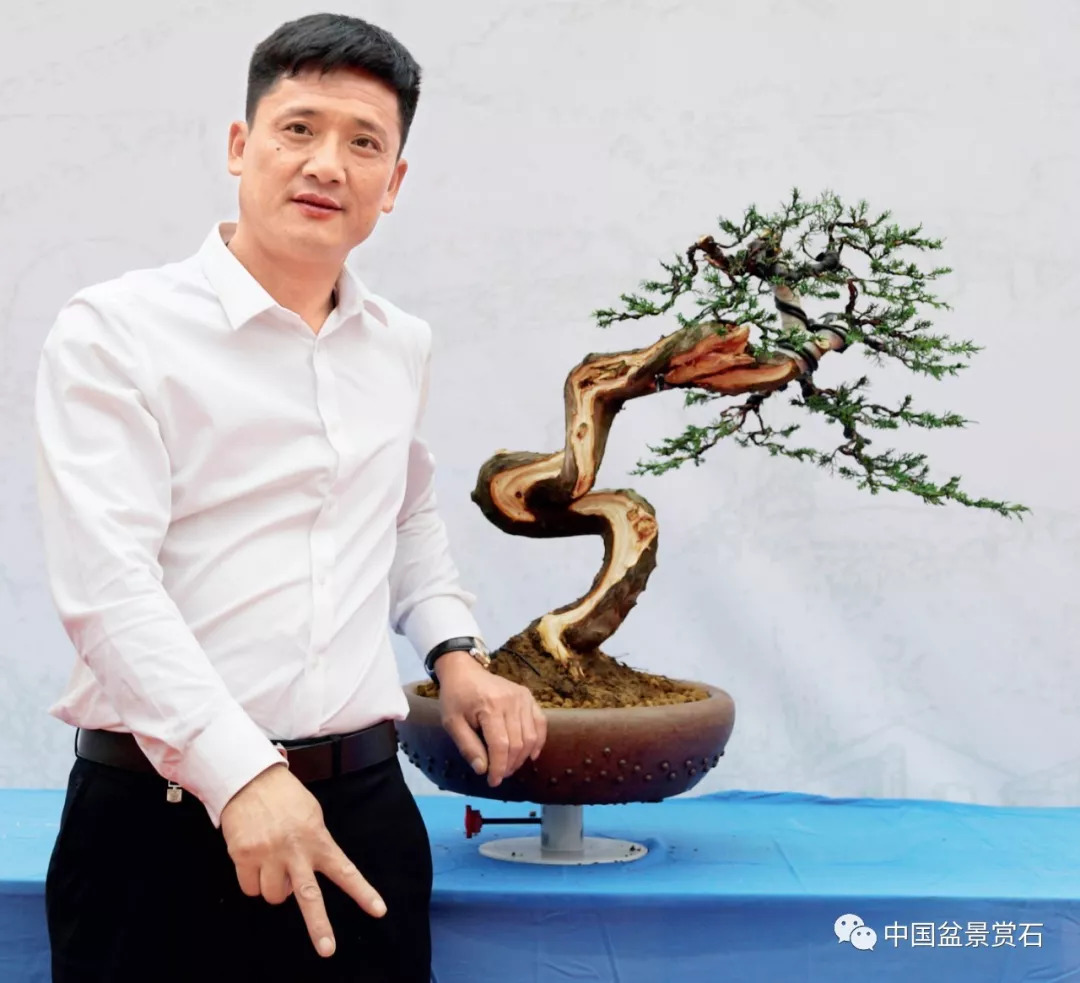 机遇总是给有准备的人——记中国最年轻的盆景艺术大师樊顺利