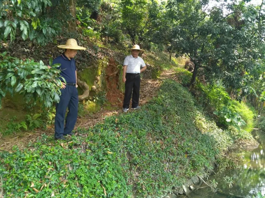 检查凤院村的水口岭水