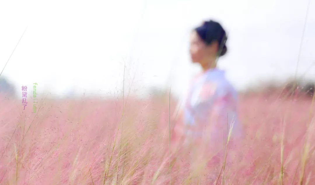 门票免费送~粉黛盛放!这片梦幻花海不止能邂逅"小仙女