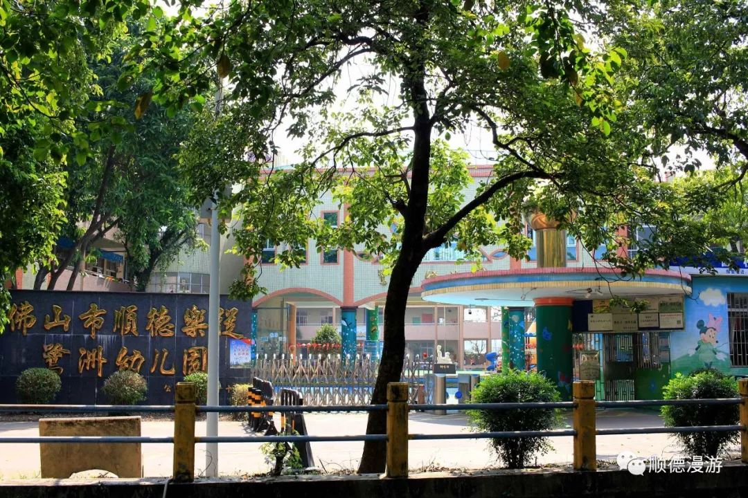 幼儿园路州小学乐从中学原名为沙滘中学,创办于1957年,2003年12月镇府