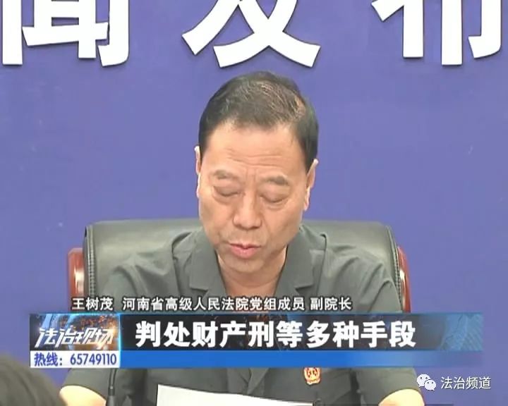 河南省高级人民法院党组成员副院长 王树茂对黑社会性质犯罪的组织者