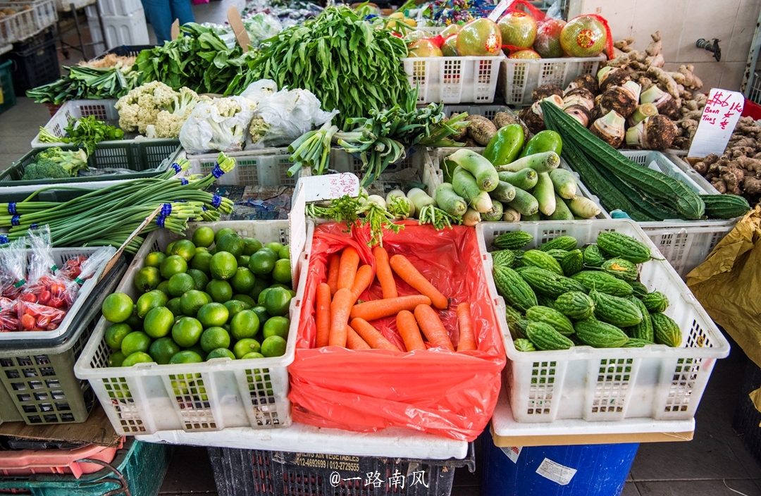 行摄新加坡,带你看看发达国家的菜市场长什么