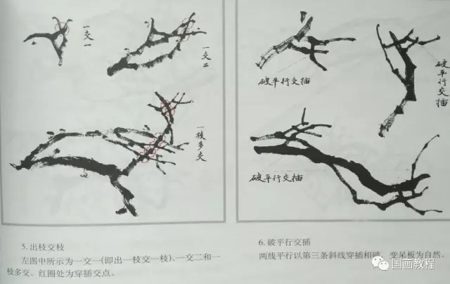 【国画教程】4集,梅花的步骤画法1(非常详细漂亮)