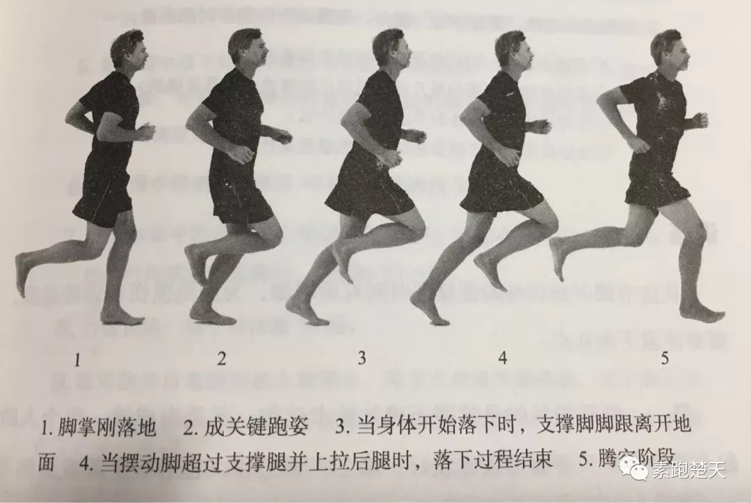 姿势跑法的十堂课 第五课·跑步的完整动作