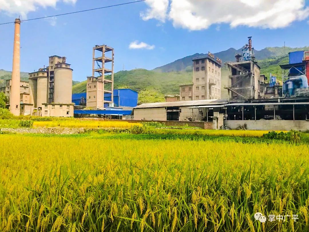 你还记得大田岩城水泥厂吗?满满的都是回忆啊