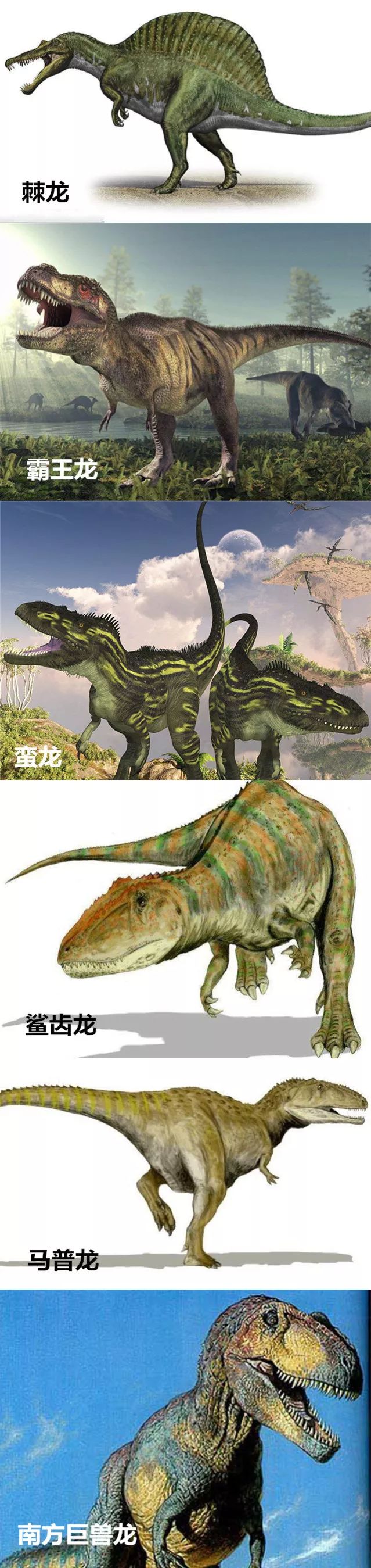 最厉害的恐龙有哪些?