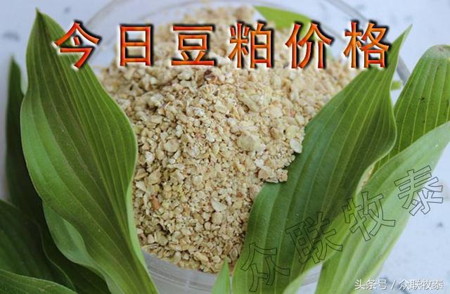 豆粕2018.9.22豆粕价格行情！