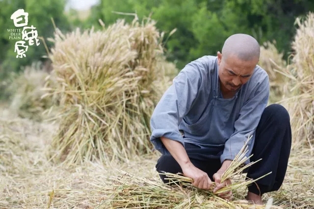 白鹿原上的家族历史，写尽了真实又残酷的人生