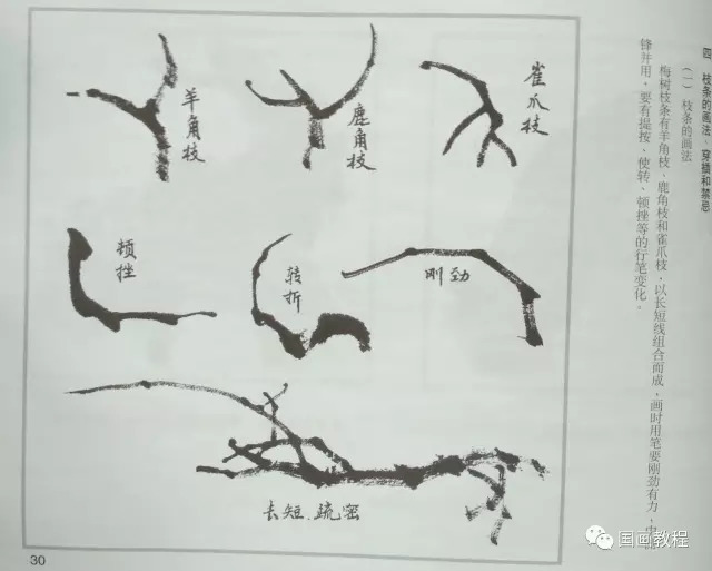 国画教程4集梅花的步骤画法1非常详细漂亮