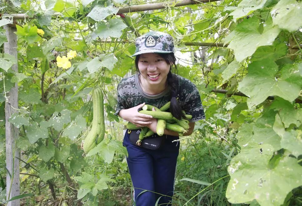 "来自福建泉州的李伟杰,浙江台州的阮秉毅,广东汕头的姚嫣,湖北武汉的