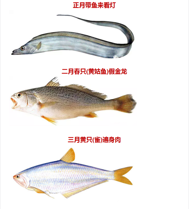 潮汕人吃海鱼讲究时令,什么时候吃什么鱼你都知道吗?
