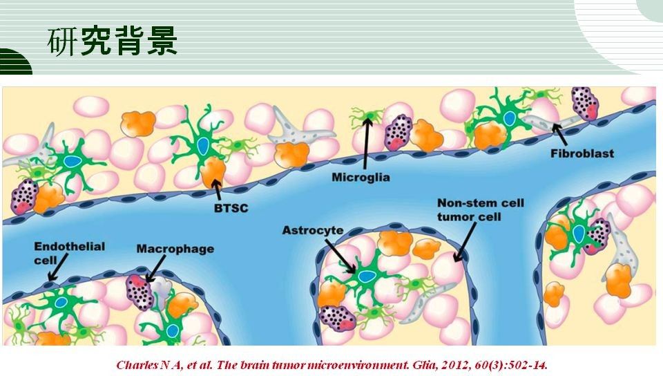 演讲ppt苏大附二院董军胶质瘤干细胞对肿瘤微环境间质细胞的重塑及