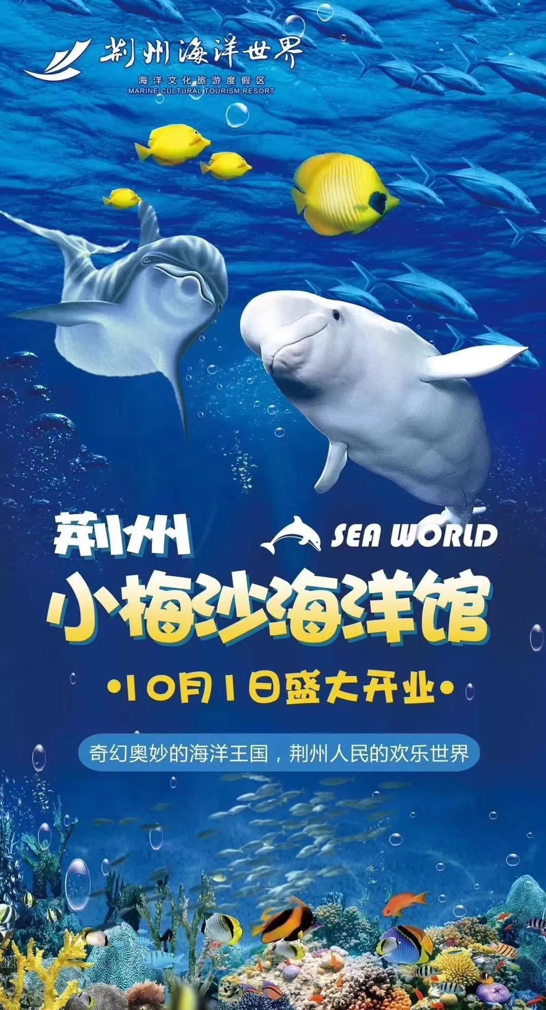 荆州小梅沙海洋馆9月28日揭幕,免费门票大派送啦!