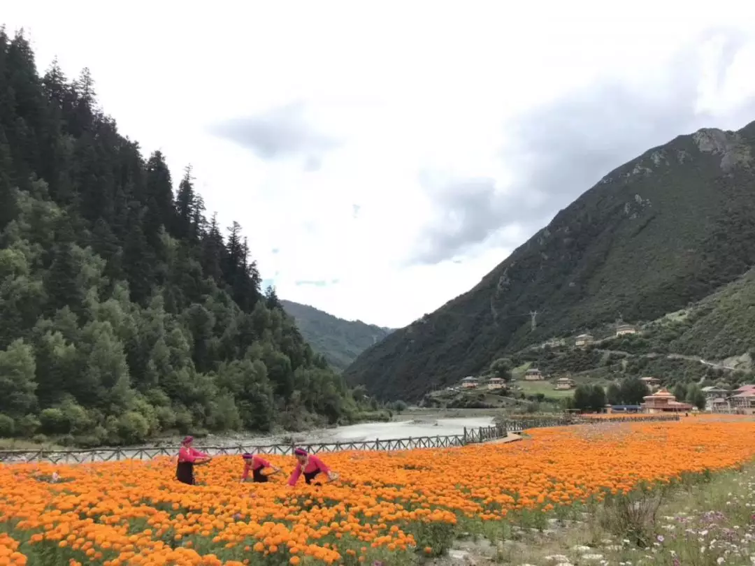 甘孜州 白玉县麻绒乡德来村