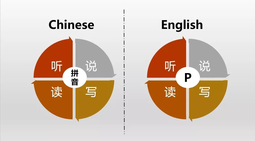 为什么学习英语这么久只会听说不会读写你与听说读写全面发展差了几个