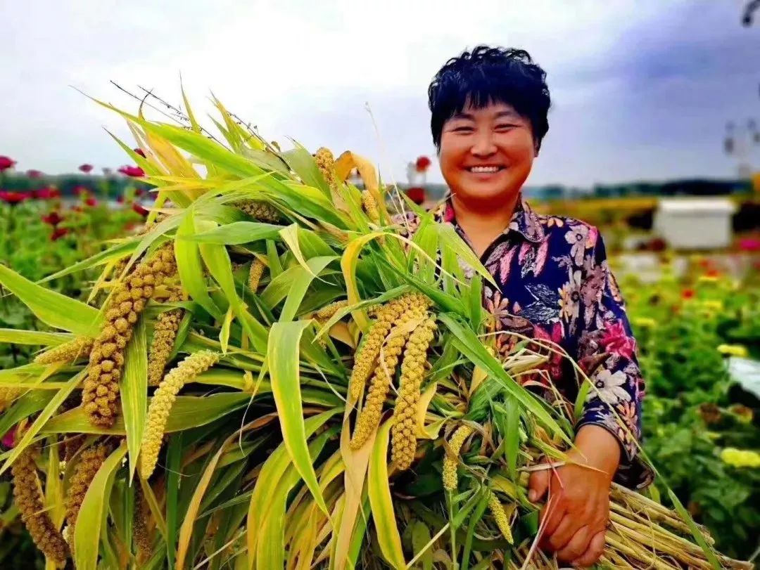 【丰收节】黑龙江各地都在庆祝,五谷丰登唱金秋!