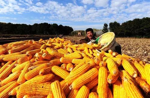 秋分带你遇见最美秋色,首个中国农民丰收节