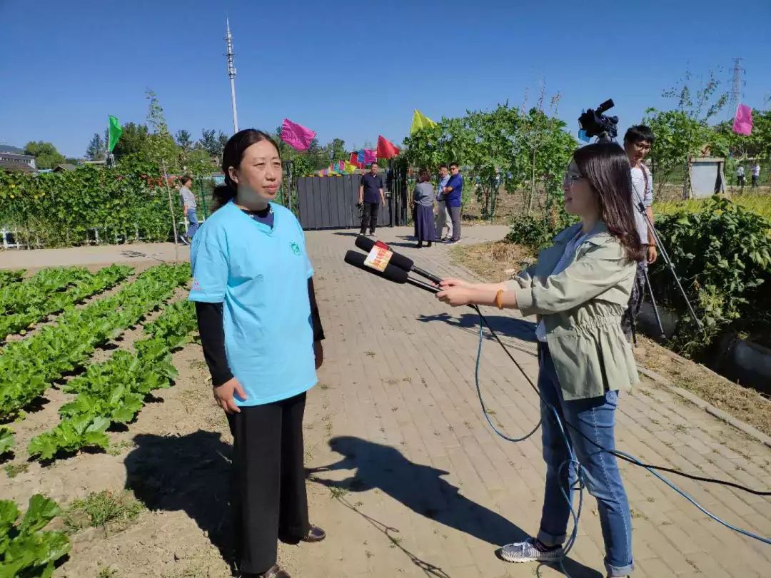 北京电视台采访  中秋节后,四季青的葡萄,西山农场的苹果和梨以及各