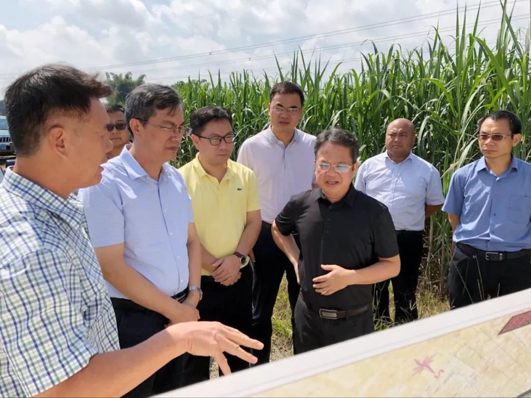 自治区发展和改革委员会副巡视员,自治区物价局副局长麦贵富一行对河