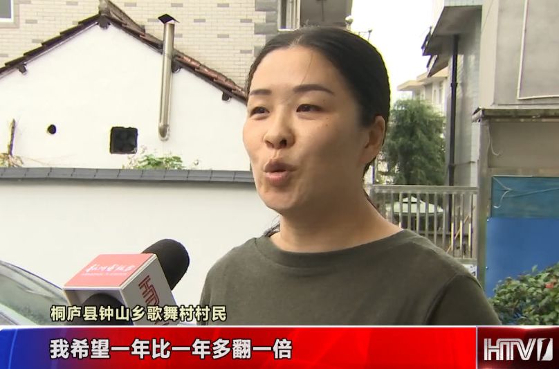 载歌载舞庆丰收桐庐县钟山乡歌舞村百家喜宴众人忙丰收集市闹秋收淳安