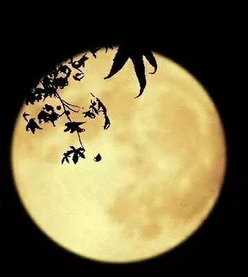 中秋月,种植圆梦的风景
