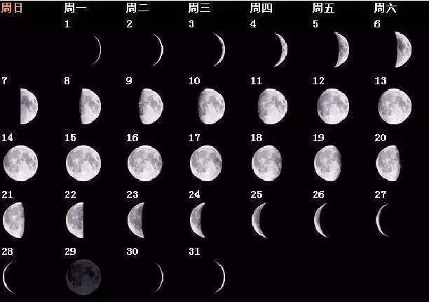月相变化的顺序是:新月——娥眉月——上弦月——盈凸——满月 ——