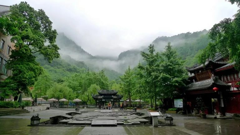 青城山分为前山后山.后山 地质地貌独特,植被茂盛,气候适宜,林木葱翠.