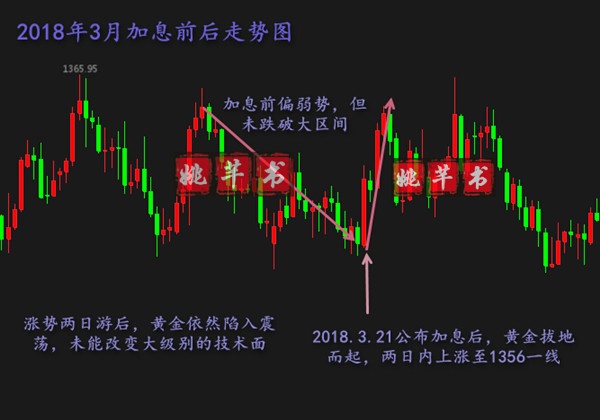 价格波动中的市场风云