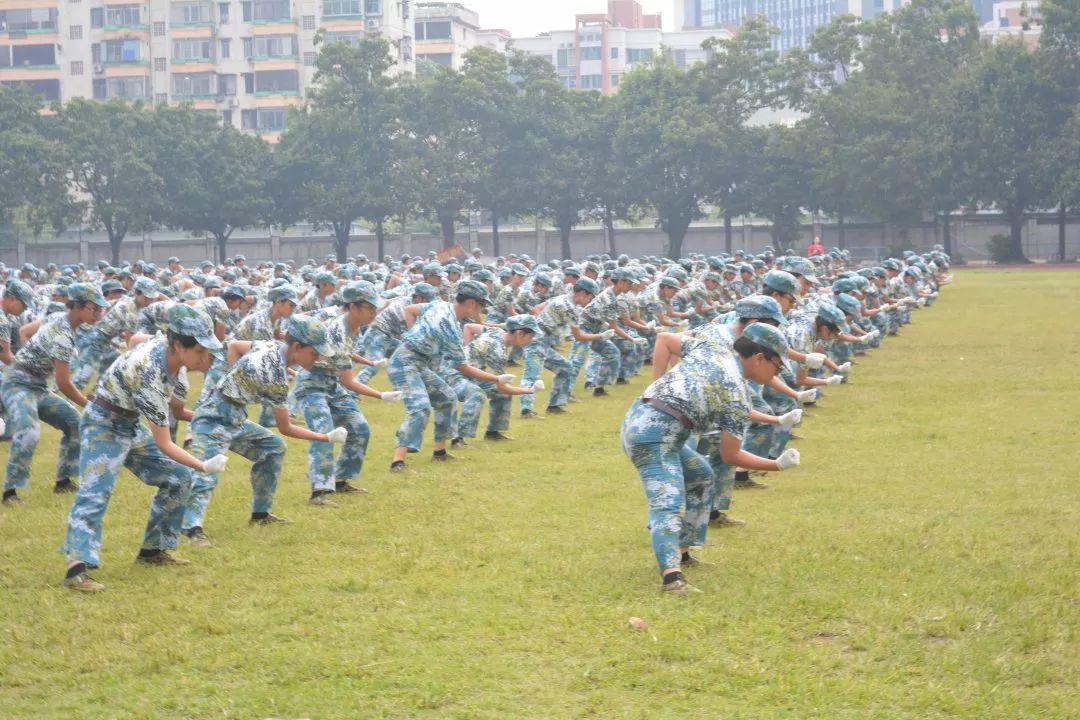 小编:你们能帮我复习一下军体拳吗?