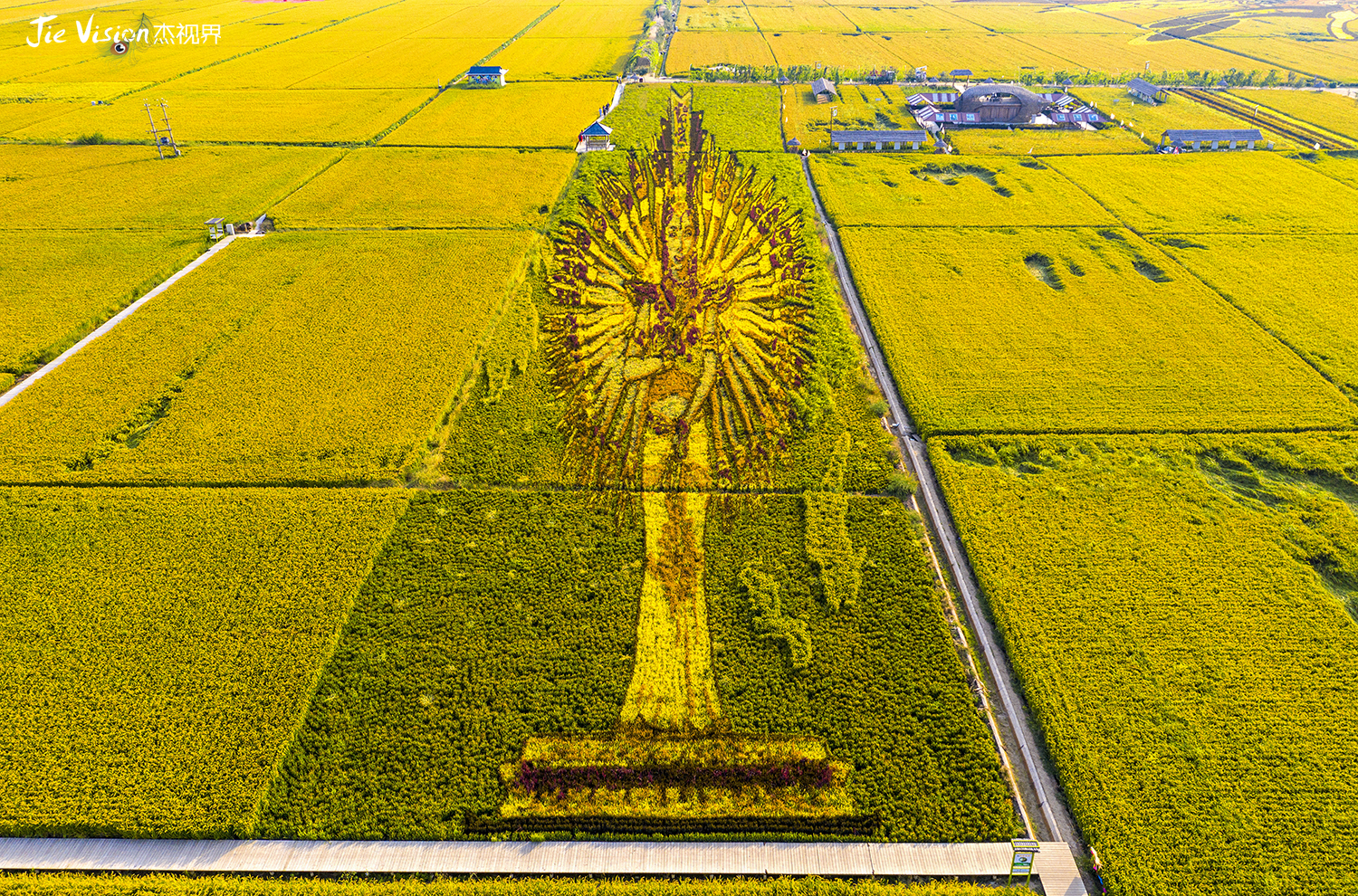 卫星发现沈阳地区神秘图案 稻梦空间何止是惊艳!