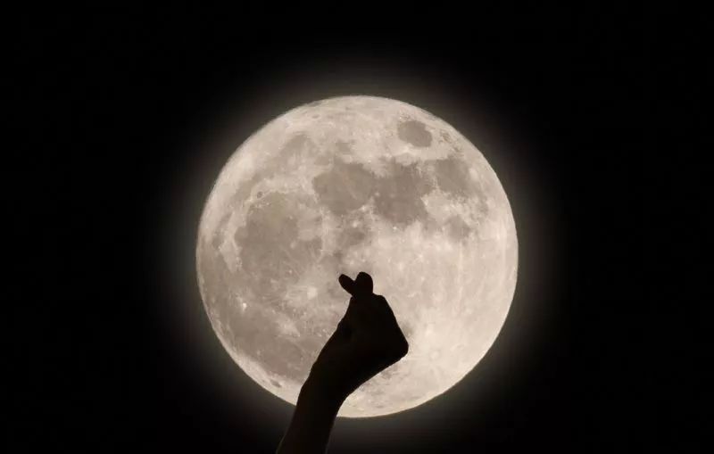" 这么圆又美的月亮, 比心还不够, 看,就是他们, 把这么有趣的礼物"拍